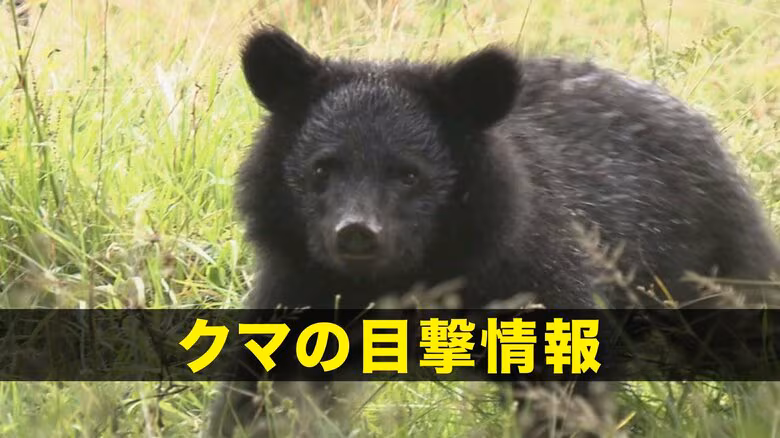 【クマ目撃】盛岡市上米内　クマ1頭の目撃　岩手県｜FNNプライムオンライン
