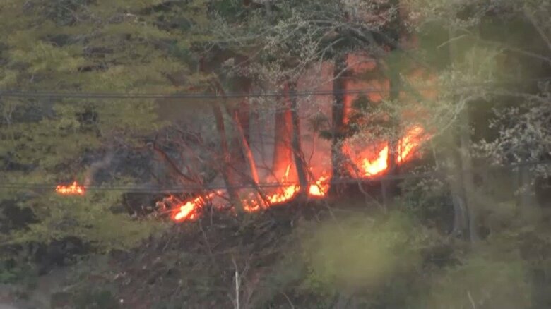 山林火災の焼失面積　“2倍”に拡大　火が住宅地にも迫る　避難指示対象を2588人に拡大　岩手・大槌町｜FNNプライムオンライン