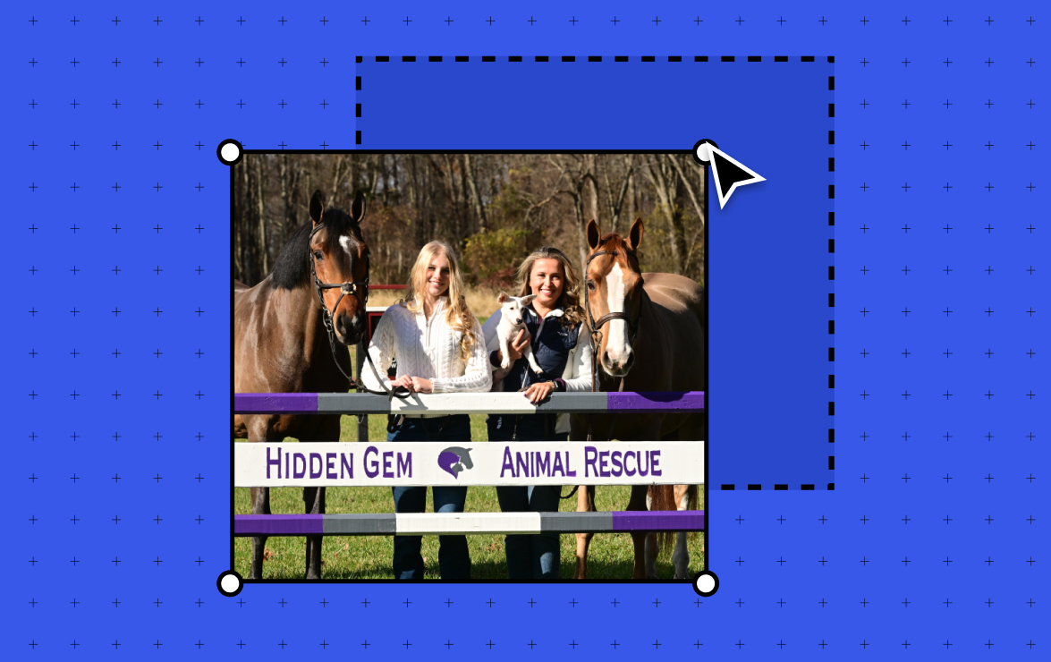 Murphy Levesque Co-Founded an Animal Rescue at 11. Her WordPress.com Site Helped Save Over 100 Animals.