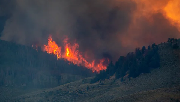 Smoke billows and flames rise from the Lowline Fire on July 26, 2023, near Gunnison, Colorado.