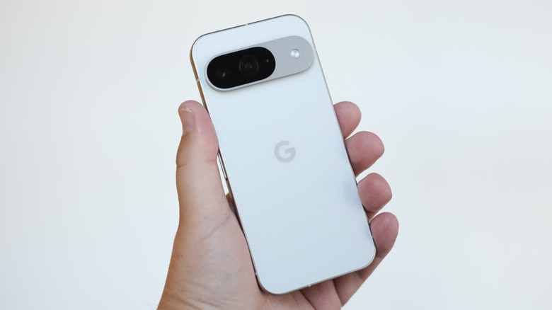 A close-up of a person holding the Pixel 9, showing the back of the phone