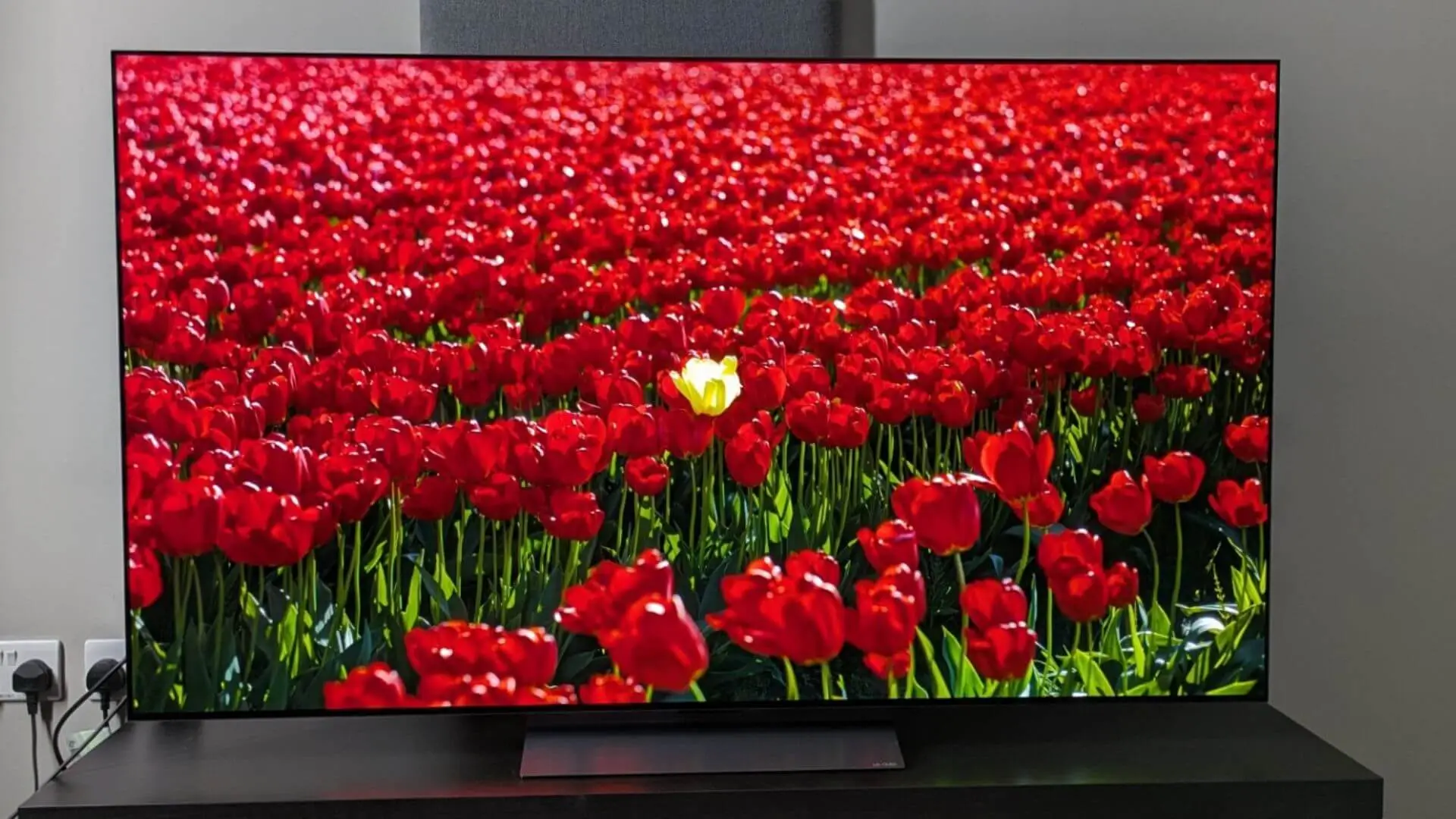 LG OLED C5ELB rebajada