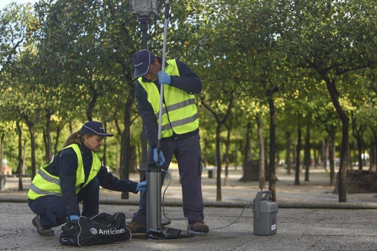 La patronal ANECPLA ha alertado de un repunte de ratas en ciudades como Madrid, Barcelona, Valencia, M�laga, Alicante, Gij�n, Zaragoza o Mazarr�n.