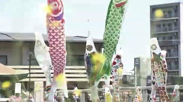 大空泳ぐ“特製こいのぼり”に歓喜の声　地元の園児がキャップや菓子袋を再利用して作る　約350匹が泳ぐ板櫃川　福岡・北九州市｜FNNプライムオンライン