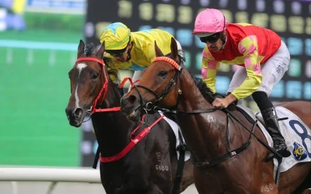 My Wish (outside) runs second to Lucky Sweynesse last start. Photos: Kenneth Chan