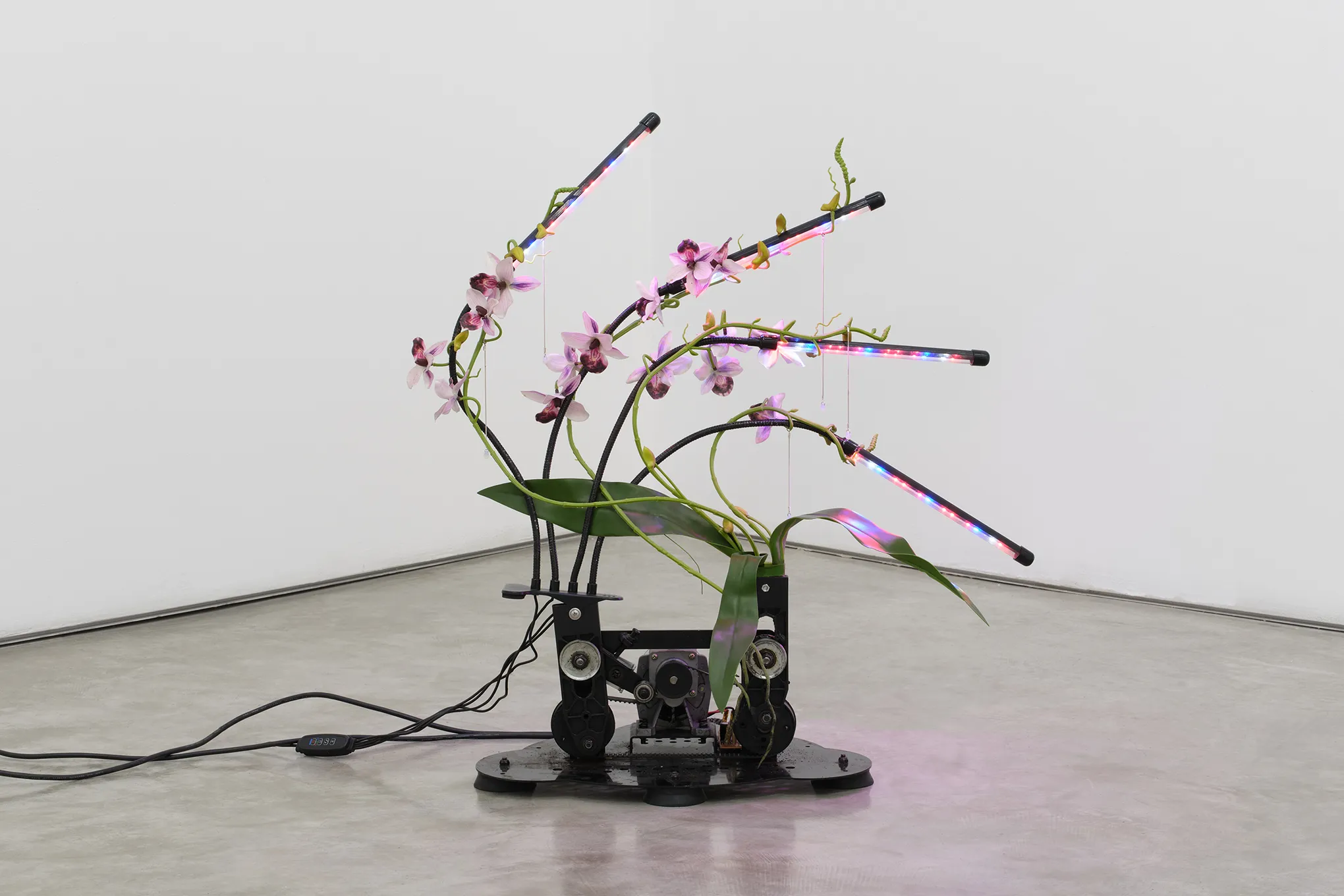 Artifical flowers and LED light bars affixed to a mechanical apparatus in a white-walled gallery.