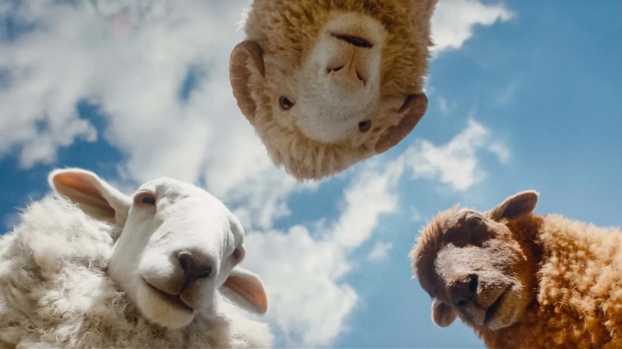 Regina Hall as the voice of Cloud, Chris O’Dowd as the voice of Mopple and Julia-Louis Dreyfus as the voice of Lily in "The Sheep Detectives."