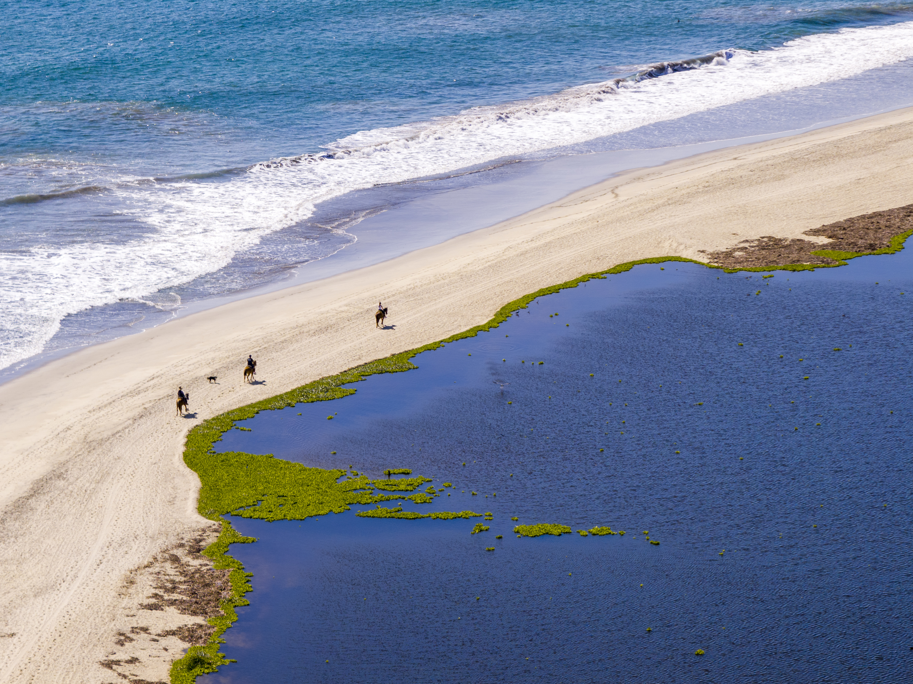 Ruta a caballo por la playa.