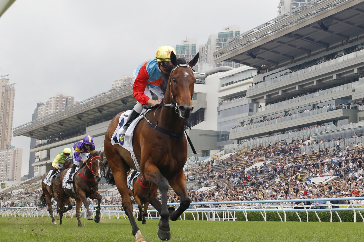 Ka Ying Rising at Sha Tin. Photo: Kenneth Chan