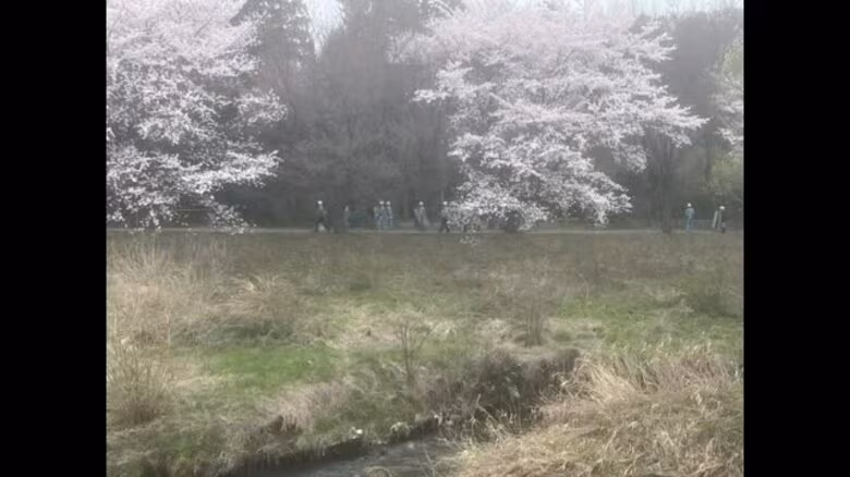 すぐ近くには学校も…　郡山市街地でクマ出没　今後緊急猟銃の可能性も｜FNNプライムオンライン