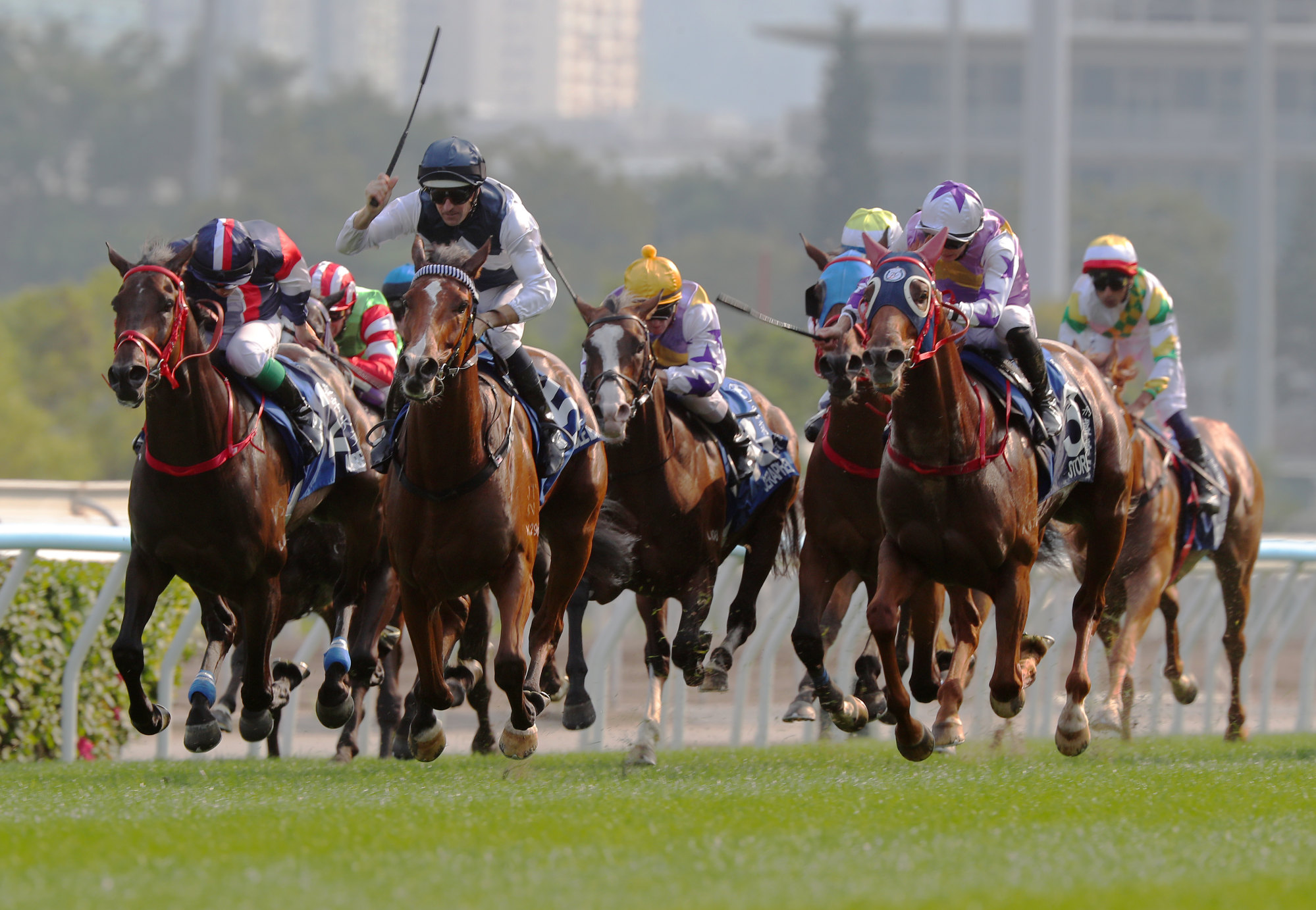 Numbers (far left) finishes second in the Hong Kong Derby. Numbers (far left) finishes second in the Hong Kong Derby.